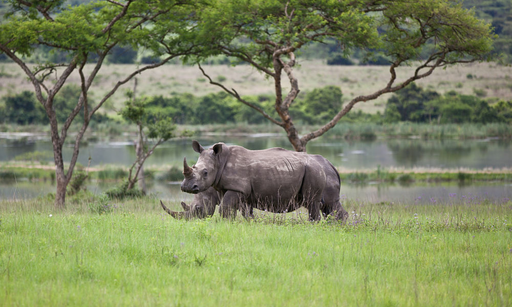  Karkloof Safari Spa